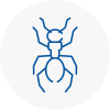 Ant Removals In Normanton