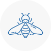 Bee Nest Removal Normanton