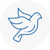 Bird Prevention Normanton
