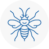 Normanton Hornet Nest Removals
