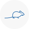 Mice Exterminators In Normanton