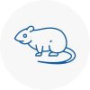 Rat Control Normanton
