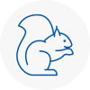 Normanton Rodent Removals